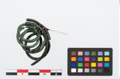 Foto von Bronzering (NHMW-PRAE-024696)